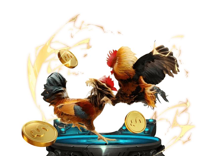 Sân đấu đá gà kịch tính tại Hello88